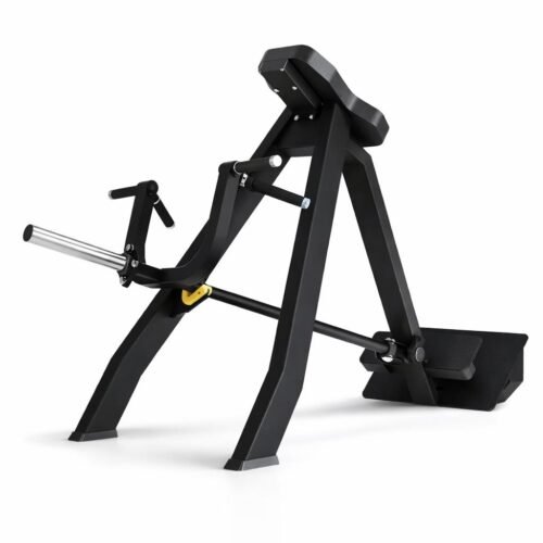 WhatsApp Image 2026-02-24 at 5.00.46 PM Remo T