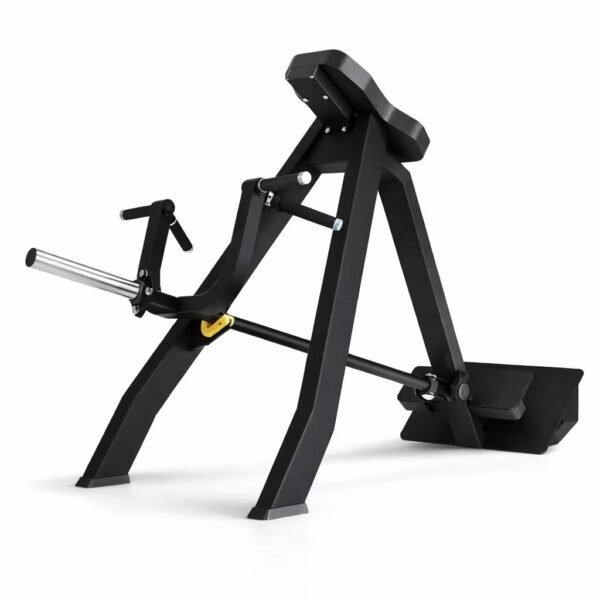 WhatsApp Image 2026-02-24 at 5.00.46 PM Remo T